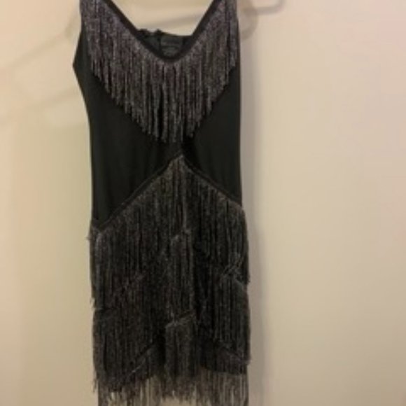 Flapper Dress! - Picture 1 of 3